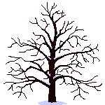 tree-seasons.gif